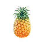 Pine Apple main image