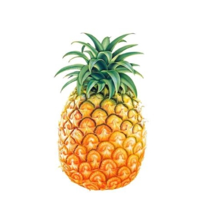 Pine Apple main image