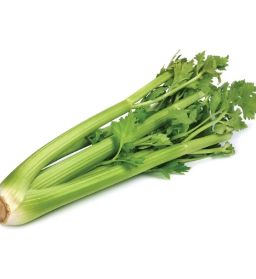 Celery - 1