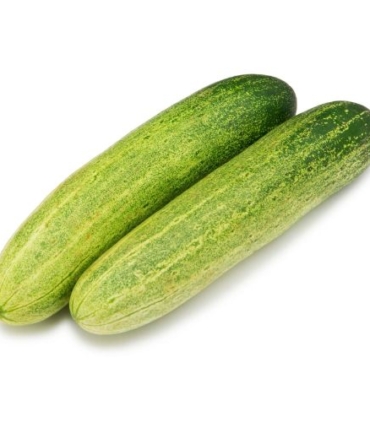 Cucumber - 1