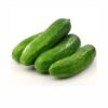 Cucumber / வெள்ளரிக்காய்  - 1Kg - Image 3