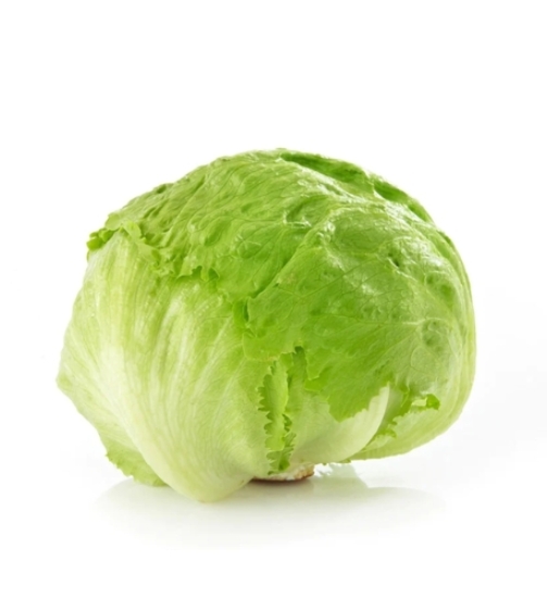 Lettuce -1