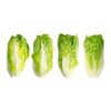 Lettuce / லெட்டூஸ்  - 1Kg - Image 5