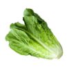 Lettuce / லெட்டூஸ்  - 1Kg - Image 2