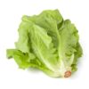 Lettuce / லெட்டூஸ்  - 1Kg - Image 3
