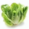 Lettuce / லெட்டூஸ்  - 1Kg - Image 4