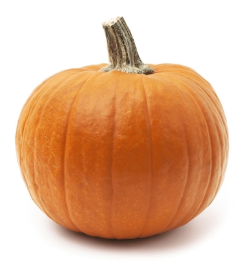 Pumpkin -2