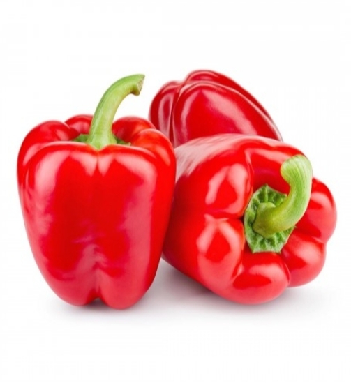 Red Capsicum - 1