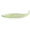 Snake Gourd / புடலங்காய்  - 1Kg