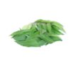 Curry Leaf / கறிவேப்பிலை - 1Kg - Image 4